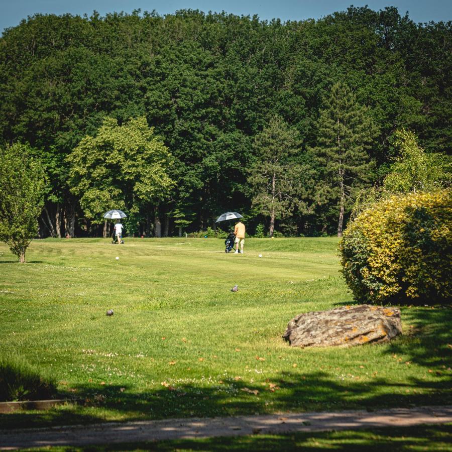 Domaine De 3* Roiffé
